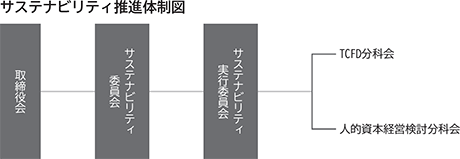 サステナビリティ推進体制図。取締役会。サステナビリティ委員会。サステナビリティ実行委員会。TCFD分科会。人的資本経営検討分科会。
