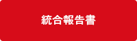 統合報告書
